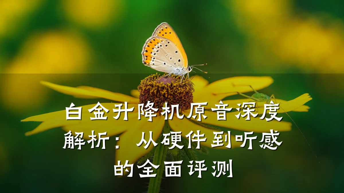 白金升降机原音深度解析:从硬件到听感的全面评测