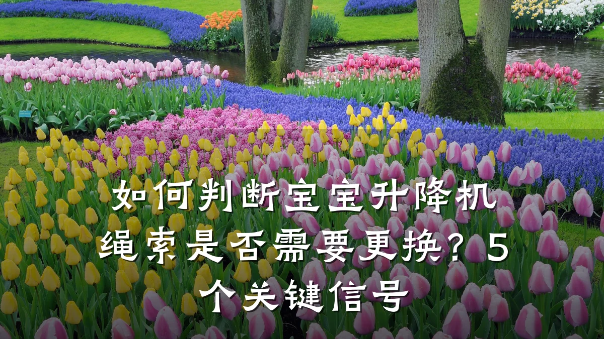 如何判断宝宝升降机绳索是否需要更换?5个关键信号
