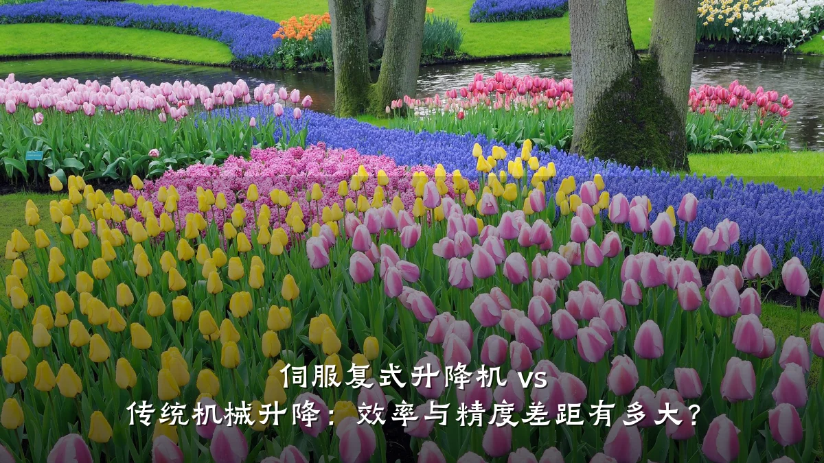 伺服复式升降机 vs 传统机械升降:效率与精度差距有多大?